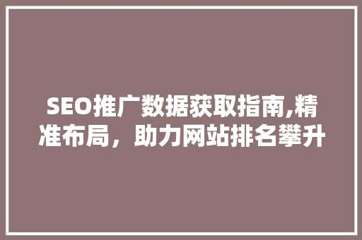 SEO推广数据获取指南,精准布局，助力网站排名攀升