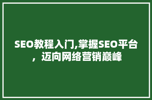 SEO教程入门,掌握SEO平台，迈向网络营销巅峰