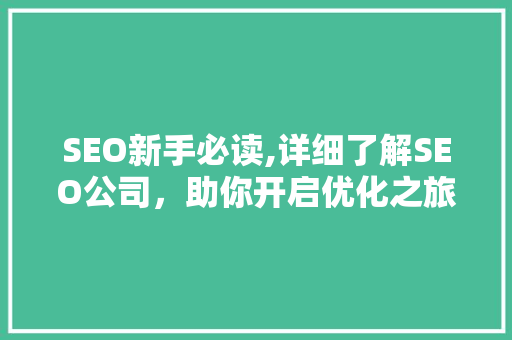 SEO新手必读,详细了解SEO公司，助你开启优化之旅