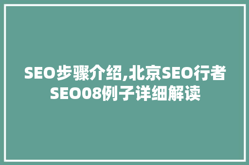 SEO步骤介绍,北京SEO行者SEO08例子详细解读