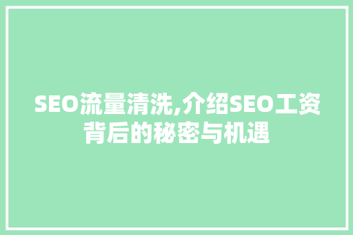 SEO流量清洗,介绍SEO工资背后的秘密与机遇