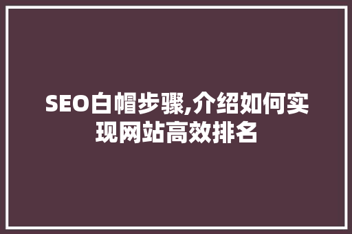 SEO白帽步骤,介绍如何实现网站高效排名