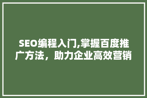 SEO编程入门,掌握百度推广方法，助力企业高效营销