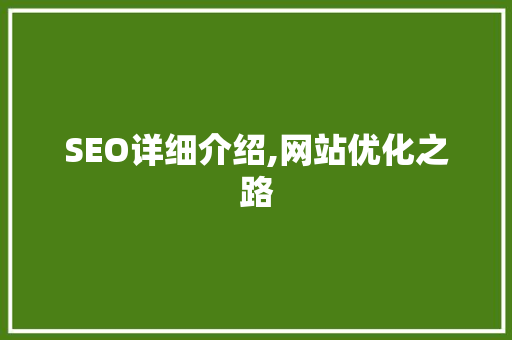 SEO详细介绍,网站优化之路