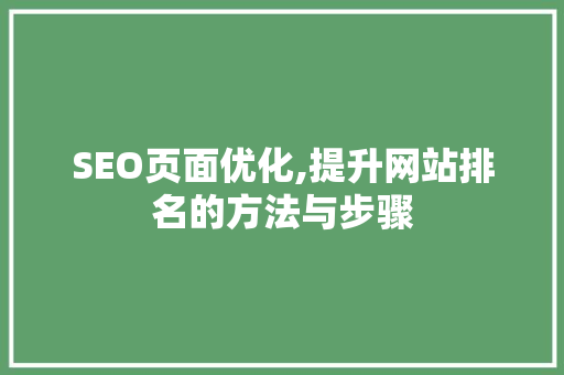 SEO页面优化,提升网站排名的方法与步骤