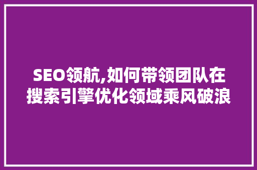 SEO领航,如何带领团队在搜索引擎优化领域乘风破浪