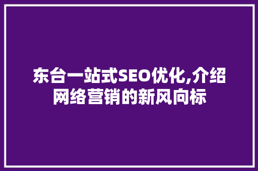 东台一站式SEO优化,介绍网络营销的新风向标