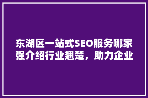 东湖区一站式SEO服务哪家强介绍行业翘楚，助力企业腾飞
