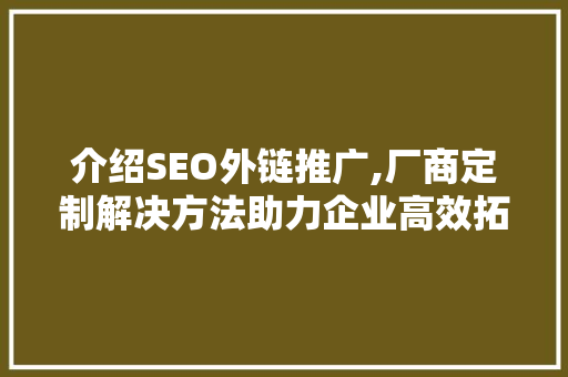 介绍SEO外链推广,厂商定制解决方法助力企业高效拓展网络市场