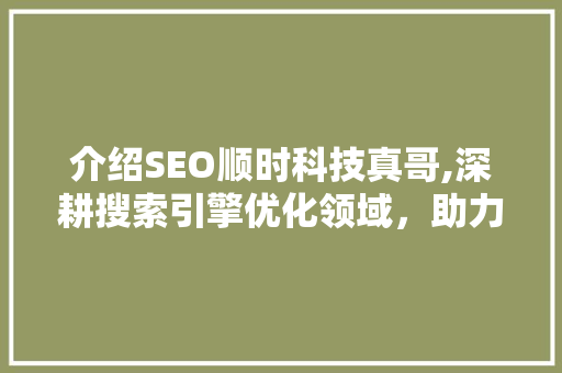 介绍SEO顺时科技真哥,深耕搜索引擎优化领域，助力企业互联网腾飞