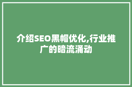 介绍SEO黑帽优化,行业推广的暗流涌动