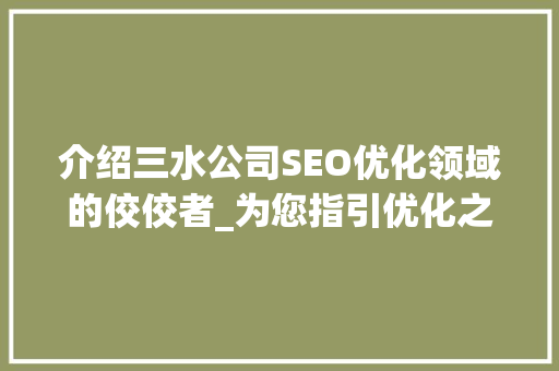 介绍三水公司SEO优化领域的佼佼者_为您指引优化之路
