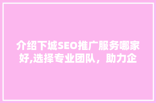 介绍下城SEO推广服务哪家好,选择专业团队，助力企业腾飞