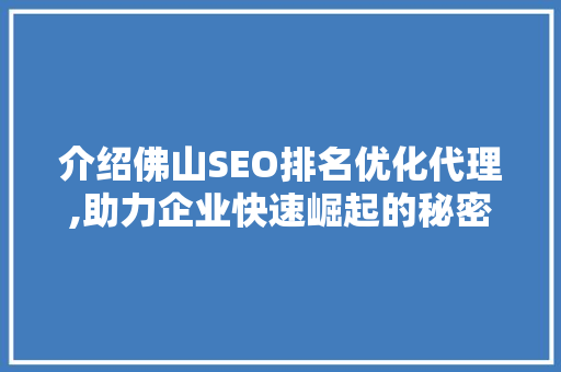 介绍佛山SEO排名优化代理,助力企业快速崛起的秘密武器