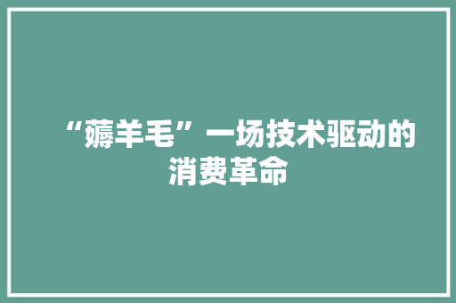 “薅羊毛”一场技术驱动的消费革命