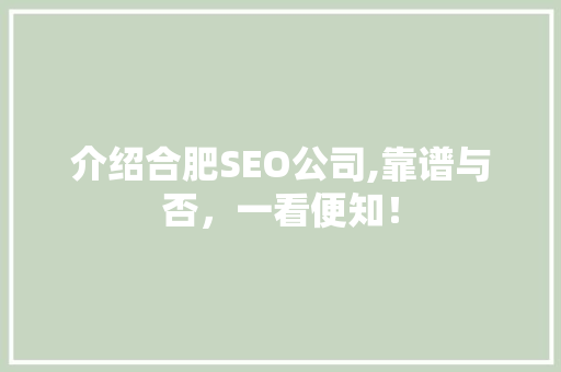 介绍合肥SEO公司,靠谱与否，一看便知！