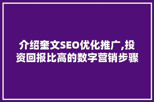 介绍奎文SEO优化推广,投资回报比高的数字营销步骤