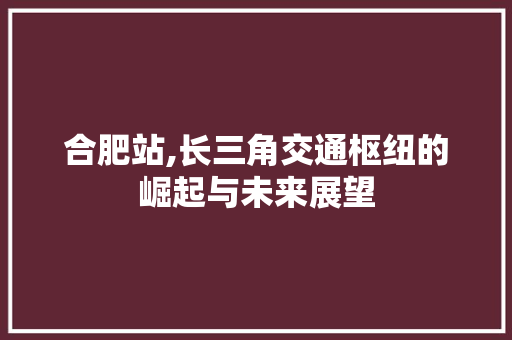 合肥站,长三角交通枢纽的崛起与未来展望