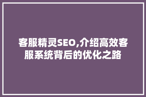 客服精灵SEO,介绍高效客服系统背后的优化之路
