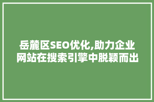岳麓区SEO优化,助力企业网站在搜索引擎中脱颖而出