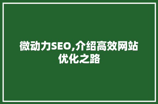 微动力SEO,介绍高效网站优化之路