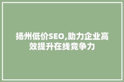 扬州低价SEO,助力企业高效提升在线竞争力