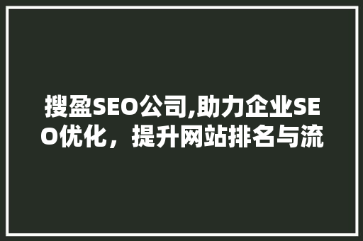 搜盈SEO公司,助力企业SEO优化，提升网站排名与流量