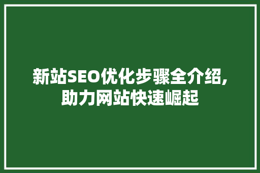 新站SEO优化步骤全介绍,助力网站快速崛起