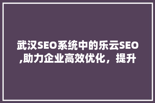 武汉SEO系统中的乐云SEO,助力企业高效优化，提升网站排名
