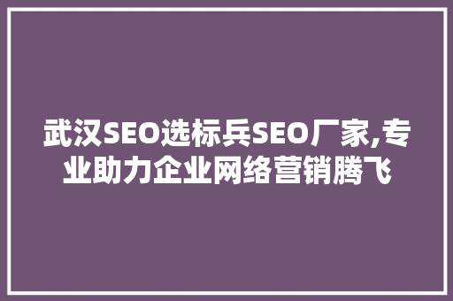 武汉SEO选标兵SEO厂家,专业助力企业网络营销腾飞