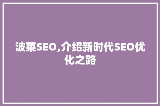 波菜SEO,介绍新时代SEO优化之路