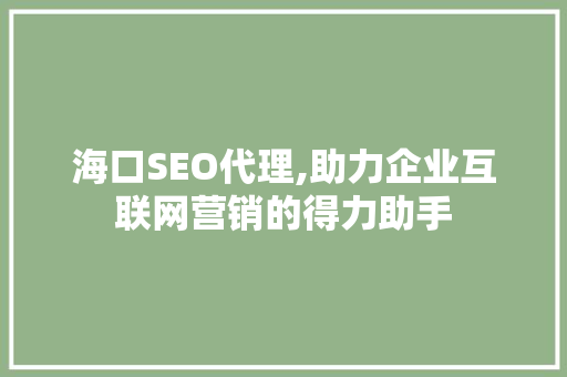 海口SEO代理,助力企业互联网营销的得力助手