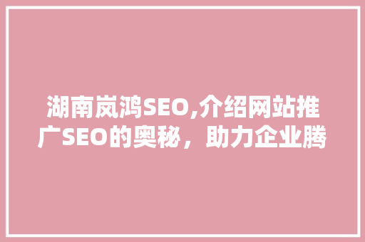 湖南岚鸿SEO,介绍网站推广SEO的奥秘，助力企业腾飞