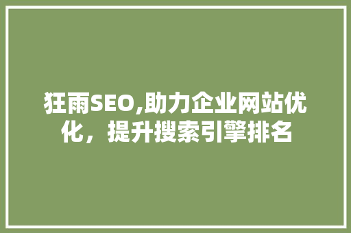 狂雨SEO,助力企业网站优化，提升搜索引擎排名