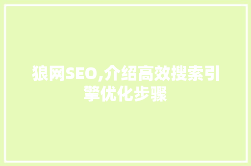 狼网SEO,介绍高效搜索引擎优化步骤