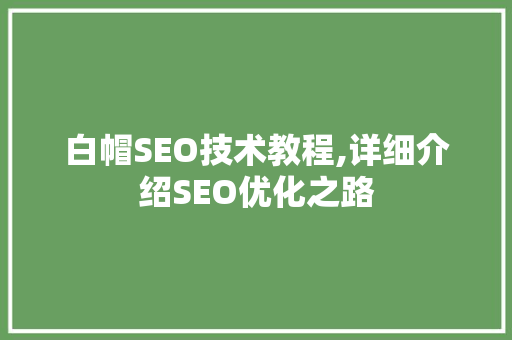 白帽SEO技术教程,详细介绍SEO优化之路