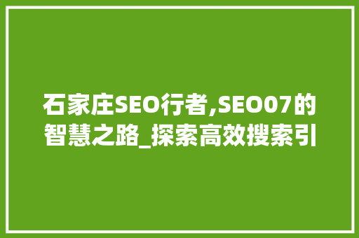 石家庄SEO行者,SEO07的智慧之路_探索高效搜索引擎优化步骤