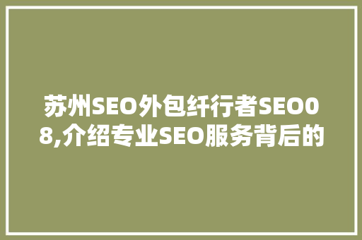 苏州SEO外包纤行者SEO08,介绍专业SEO服务背后的秘密