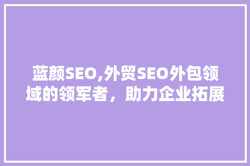 蓝颜SEO,外贸SEO外包领域的领军者，助力企业拓展国际市场