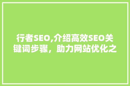 行者SEO,介绍高效SEO关键词步骤，助力网站优化之路