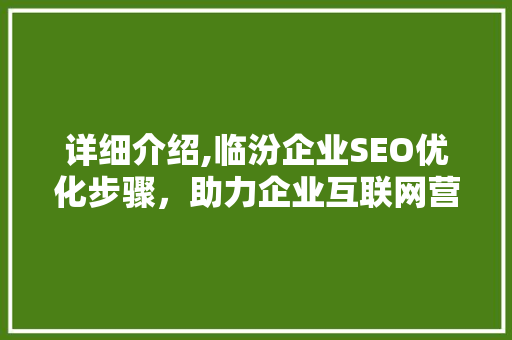 详细介绍,临汾企业SEO优化步骤，助力企业互联网营销腾飞