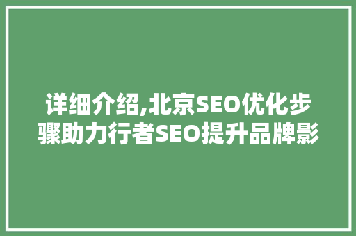 详细介绍,北京SEO优化步骤助力行者SEO提升品牌影响力
