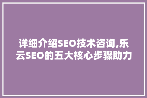 详细介绍SEO技术咨询,乐云SEO的五大核心步骤助力企业网站优化