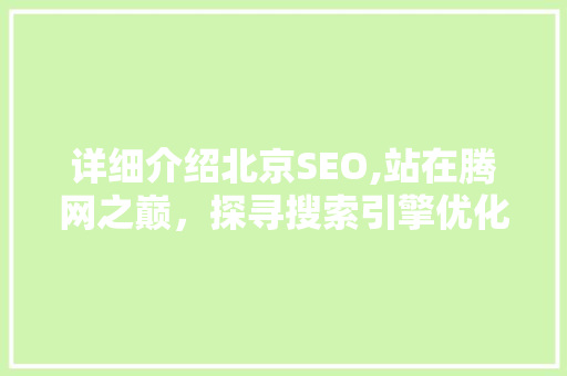 详细介绍北京SEO,站在腾网之巅，探寻搜索引擎优化之路