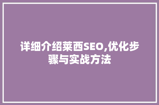详细介绍莱西SEO,优化步骤与实战方法