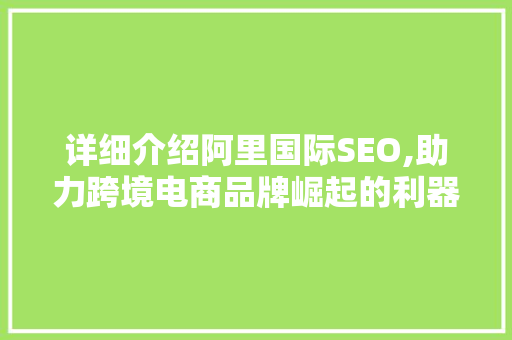 详细介绍阿里国际SEO,助力跨境电商品牌崛起的利器