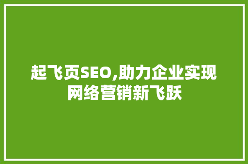 起飞页SEO,助力企业实现网络营销新飞跃