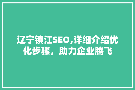 辽宁镇江SEO,详细介绍优化步骤，助力企业腾飞