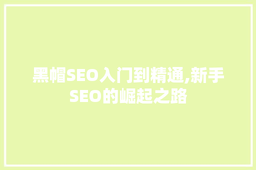 黑帽SEO入门到精通,新手SEO的崛起之路