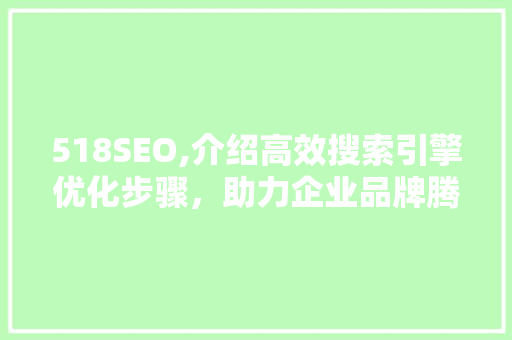 518SEO,介绍高效搜索引擎优化步骤，助力企业品牌腾飞